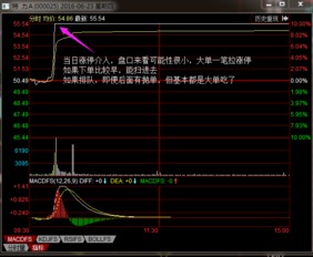 股票跌到多少点才能够反弹啊