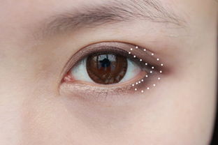 初学者化妆怎样画眼影 日常适用好看的眼影画法