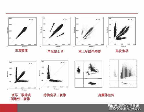 小六壬新手保护期是多久