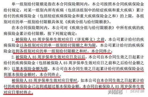 新华保险公司的评价如何？