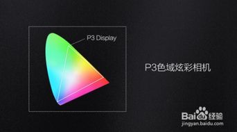 什么手机拍照效果最好 