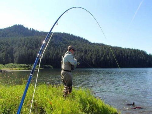 男子去河边钓鱼钓到奇怪大鱼,拉上来仔细一看,让他们惊诧不已