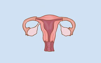 备孕的女性要注意 早孕和月经前兆是有区别的,千万不要弄错了