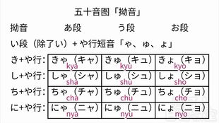 五十音图浊音拗音 搜狗图片搜索