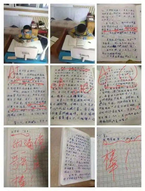 小学生观察日记范文_三年级观察事物的变化写一写？