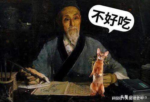 猫肉有什么功效