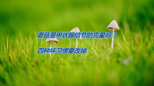蘑菇是甲状腺结节的克星吗 四中坏习惯要改掉 