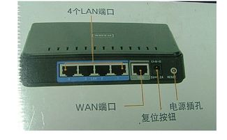 这是什么,光纤猫和路由器怎么区分 