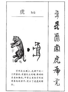 寝拼音、部首、笔画、繁体字、寝的意思解释、组词、寝英文翻译、相关谜语