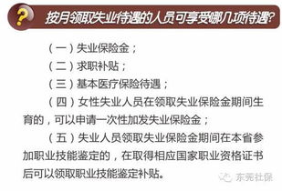 东莞失业金可以领取几个月 (广东省失业保险金领取月数)