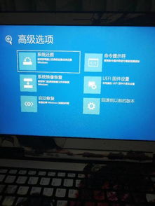 我特么win10怎么进不去