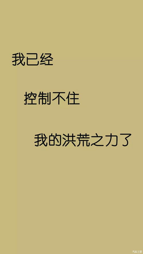 这一刻的心情由你而发,以后的生活随我而行 我的爱车荣威Rx5 荣威RX5 RX5新能源论坛 汽车之家论坛 