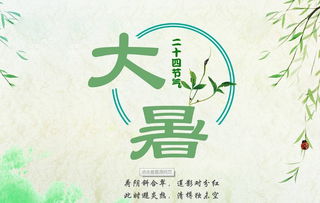 大暑节气将至,这些养生常识一定得知道