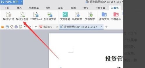 wps 文档怎么变图片 wps文档怎么转换成图片
