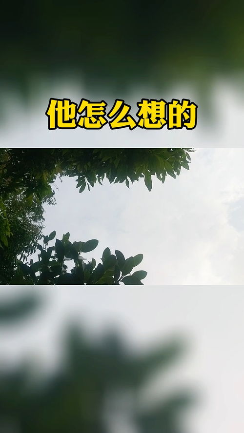 吵完架后如何修复感情