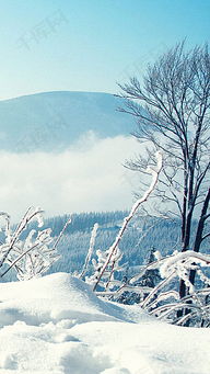 林海雪原背景图片 搜狗图片搜索