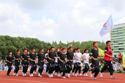 校运会加油稿励志歌词-学校运动会开幕式入场歌曲？