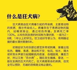 科普知识 致死率几乎100 科学预防狂犬病,你必须知道这些 