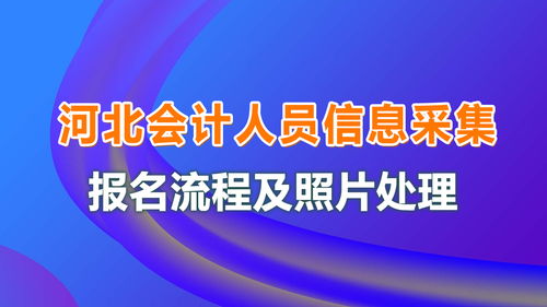 会计人员信息管理系统，河北会计信息网入口是什么