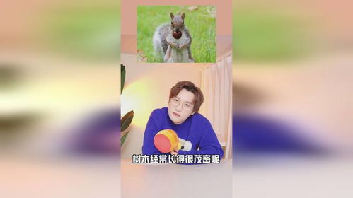 99 人不知道的动物奇葩冷知识 熊猫眼睛为啥是黑色的