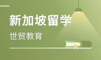 高三去新加坡留学条件，你能说说初中生新加坡留学一年多少钱吗