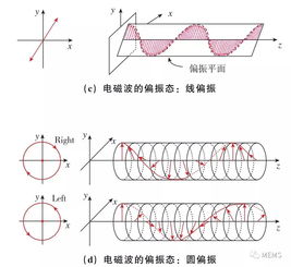 揭秘短波红外穿透成像技术