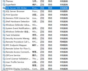 win10系统如何连接内网服务器地址