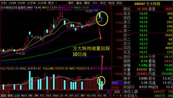 资源杀跌次新反弹,明天短线机会在这个板块 