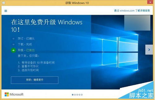 xp系统升级成win10网速怎么变慢了