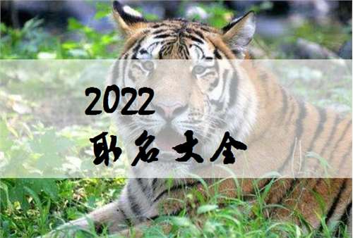 2022虎年顾姓男宝宝起名大全