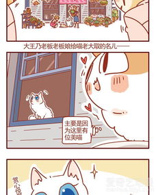 猫咪甜品屋 318 爱奇艺漫画 