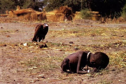 非洲1984 一年饿死1600万人,37年前的非洲有多绝望 真的长知识