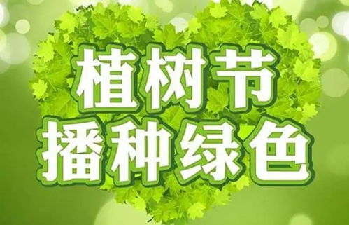 3.12植树节丨金川县开展 青春义务植树 推进国土绿化 植树活动