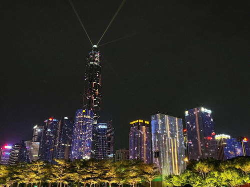 其他城市出行分享 深圳灯光秀2023 