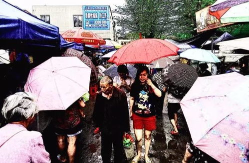 不同的圩,由于地理位置等因素的不同,圩场风貌 特产 乡情习俗等等却是各有故事