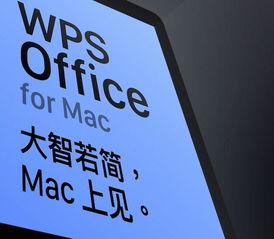 WPS Mac版正式上线,打造极简办公体验