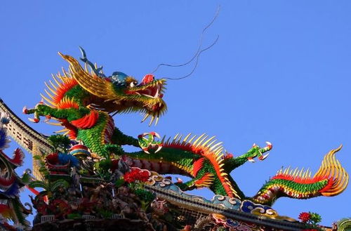 老人讲的话真不假,属龙人最怕和以下几个属相结婚 看看有没有你