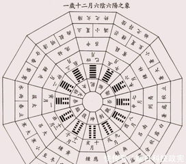 国学知识阴阳与五行 