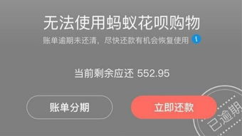 花呗逾期发信息是怎么样的贴吧，花呗还款短信提醒长什么样