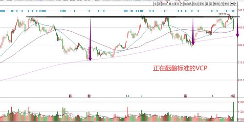 如果长春长生的股票跌停，你会去抄底吗