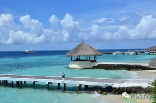 马尔代夫海钓旅游攻略 马尔代夫海洋旅游主要项目