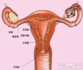 白带异常的症状有什么