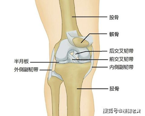 前叉韧带断了,一定要做手术吗 医生 满足这1点,可以考虑不做