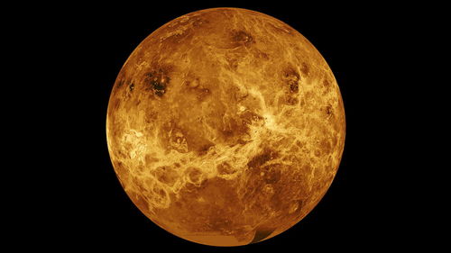 马盘月亮拱金星讨论