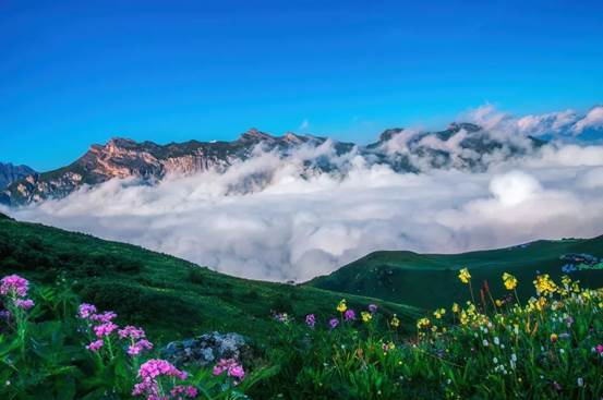 九顶山游玩最强攻略 一起去看繁花盛开 星辰漫天