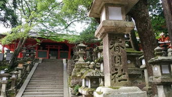 玩转本州 东京 奈良 富士山 环球影城 大阪6日一次玩个够