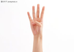 两手相搭手势 中指搭在食指手势是什么