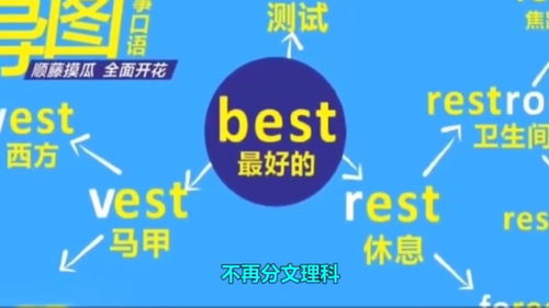 四川文理分科最后一届是什么时候(四川取消文理分科了吗四川文理分科最后一届是什么时候)