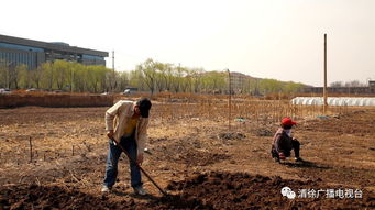 春耕季节词语解释大全_春耕备耕是什么？