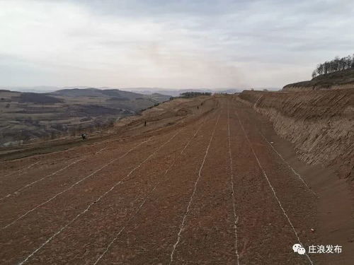 愚公再造黄土地,铁锨拍筑绿色梦